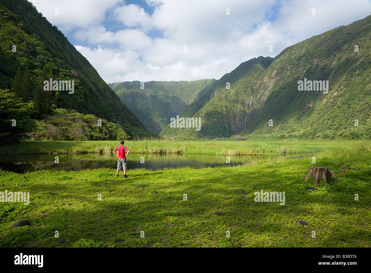 Turista nella valle Waimanu Kohala Riserva Forestale di Big Island delle Hawaii USA Foto Stock