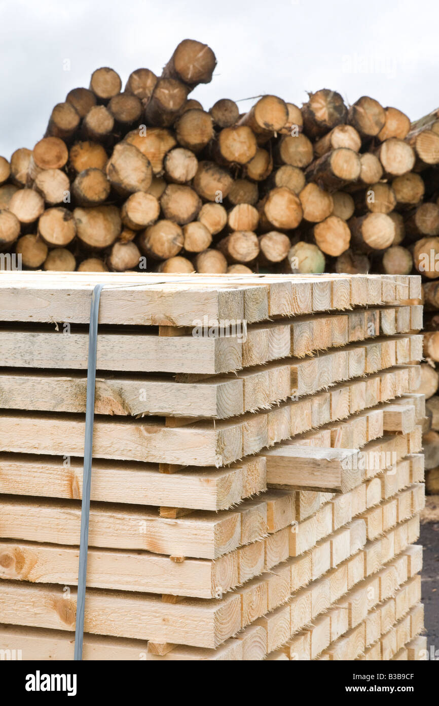BSW lavorata a macchina di taglio di legname scozzese, registri, tronchi di albero deposito di legname in Speyside, Scotland, Regno Unito Foto Stock