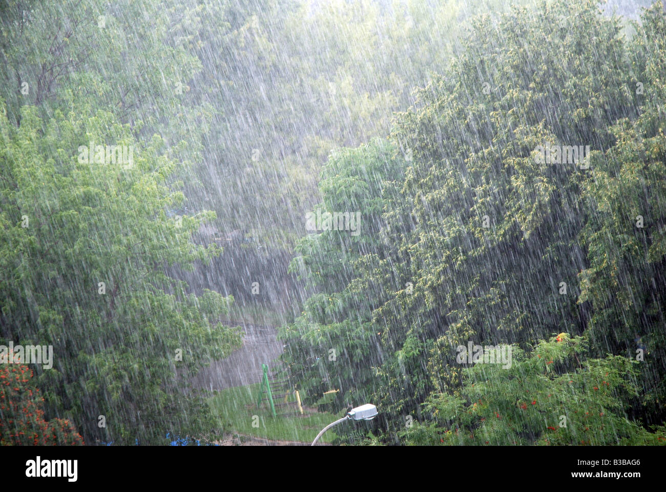 Pesanti caduta di pioggia Foto Stock