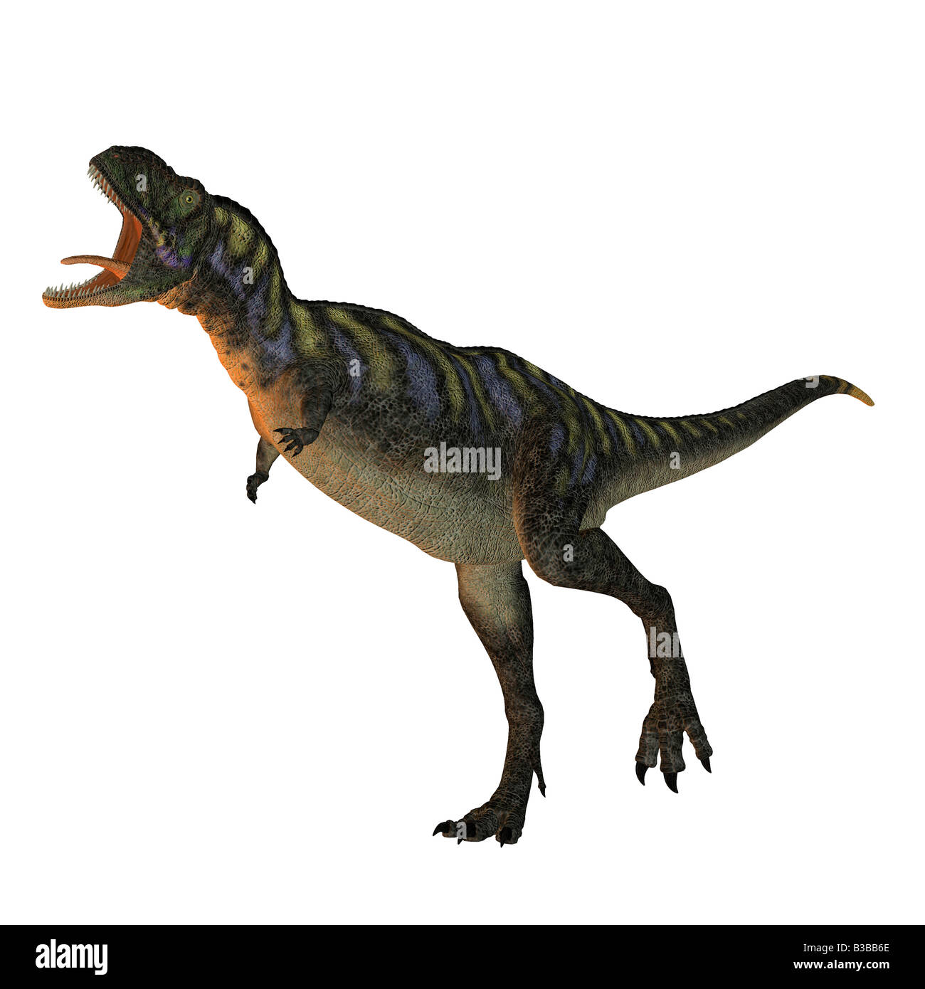 Dinosauro Aucasurus Foto Stock