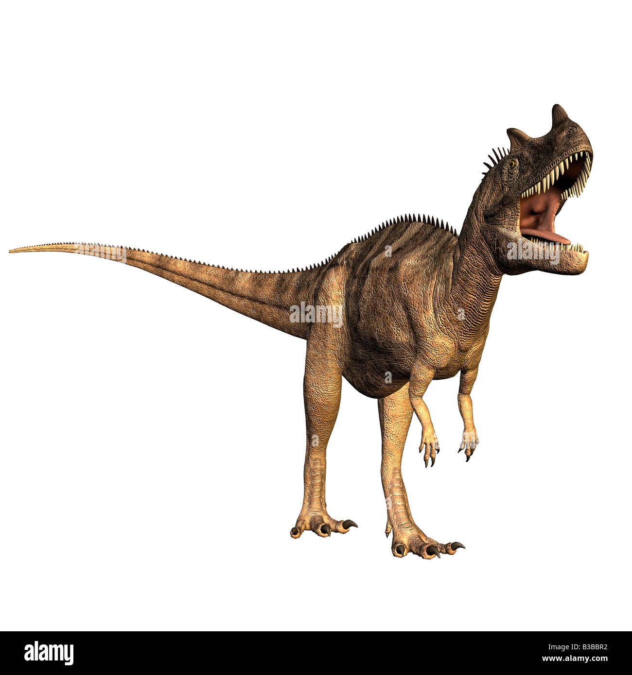 Dinosauro Ceratosaurus Foto Stock