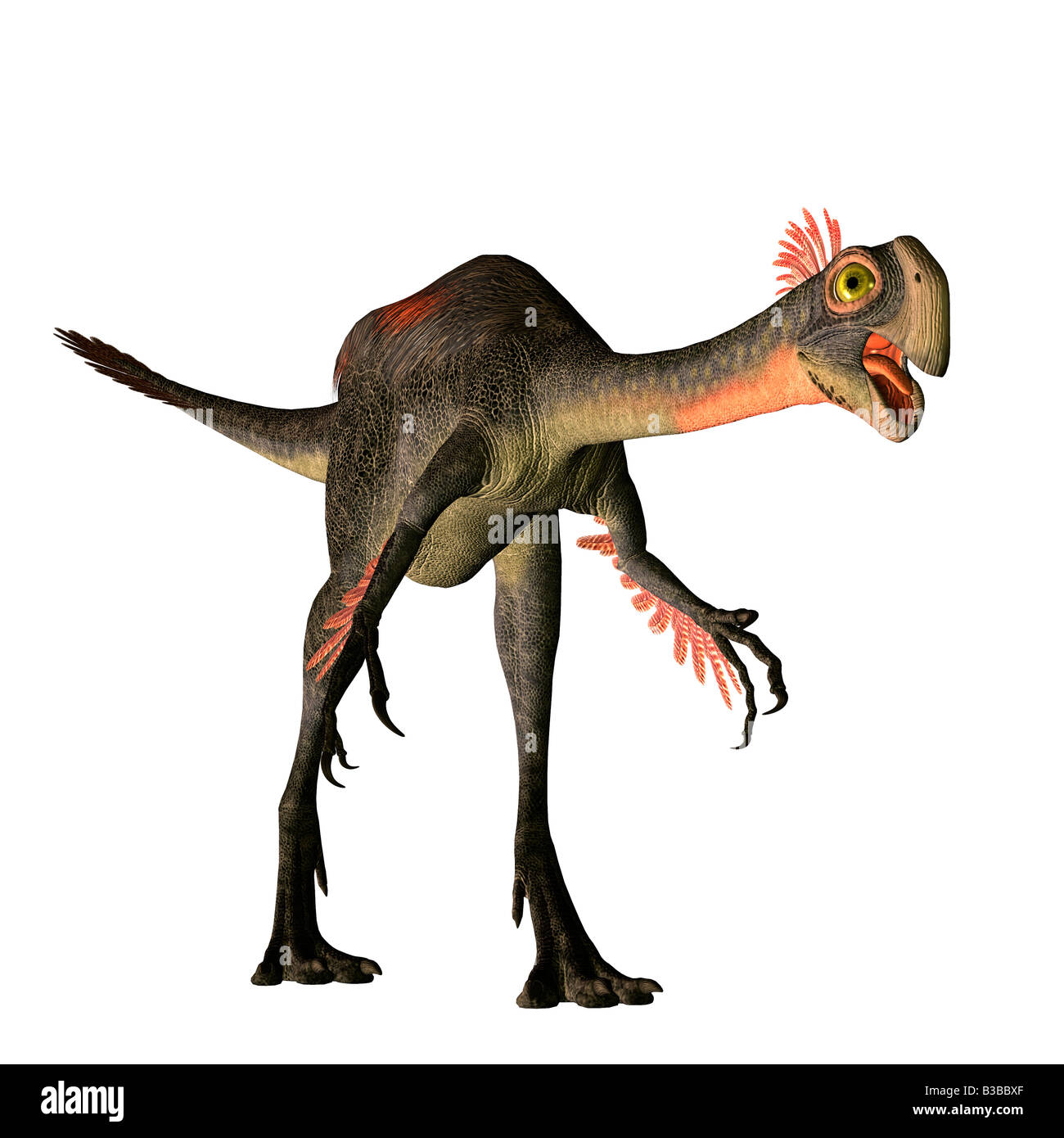 Dinosauro Gigantoraptor Foto Stock