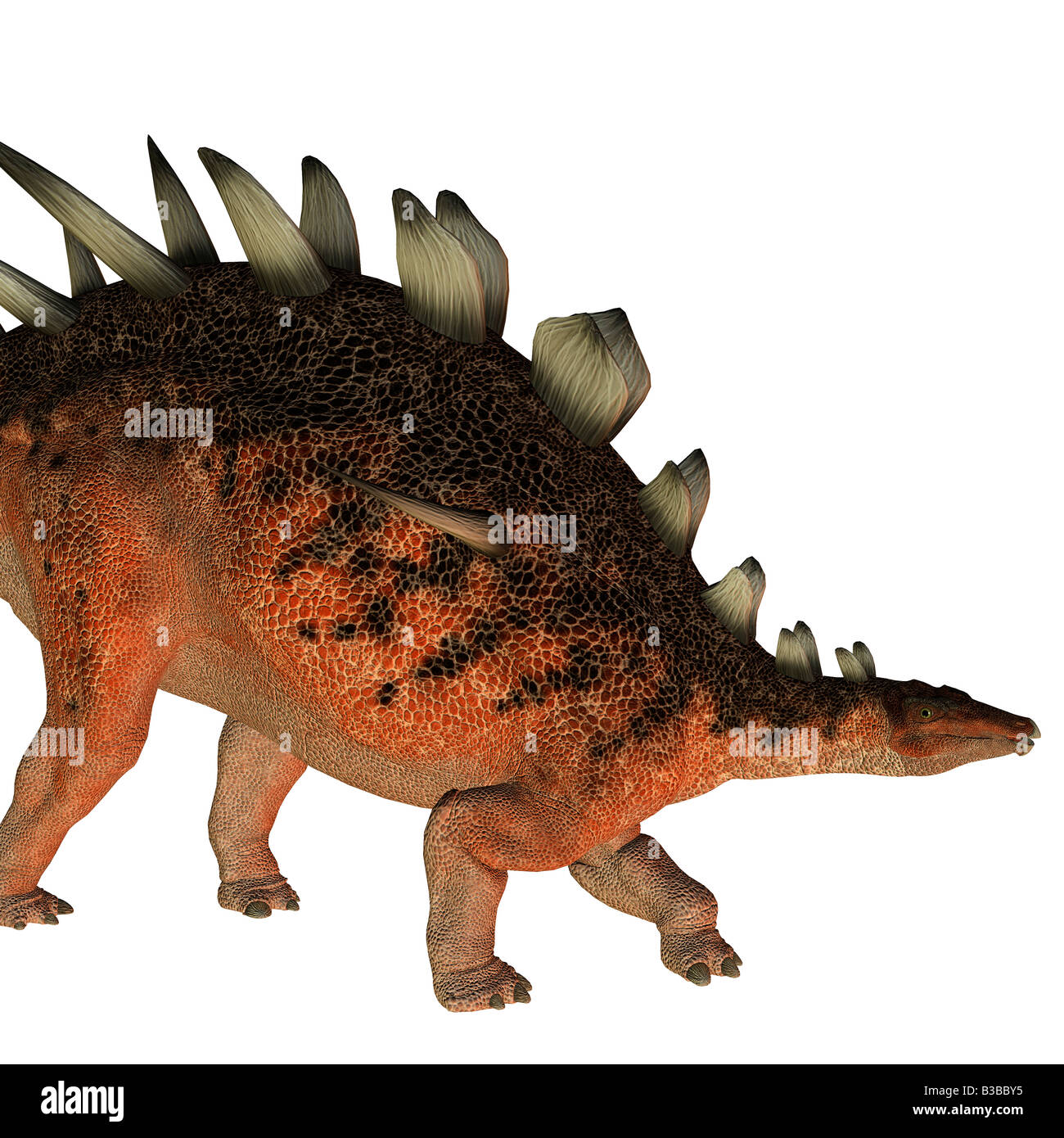 Dinosauro Kentrosaurus Foto Stock