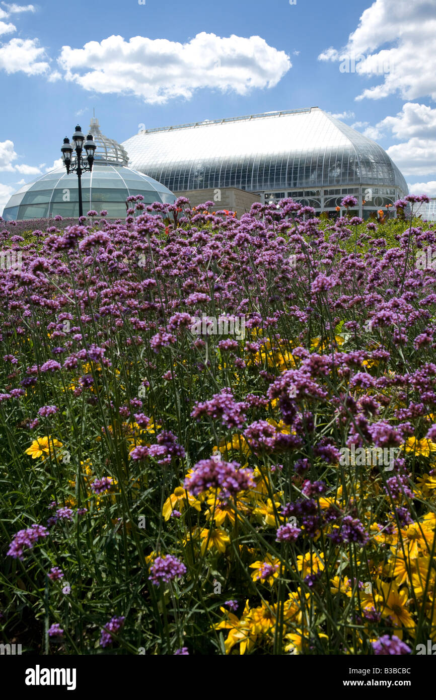 Phipps Conservatorio quartiere di Oakland Pittsburgh Pennsylvania Foto Stock