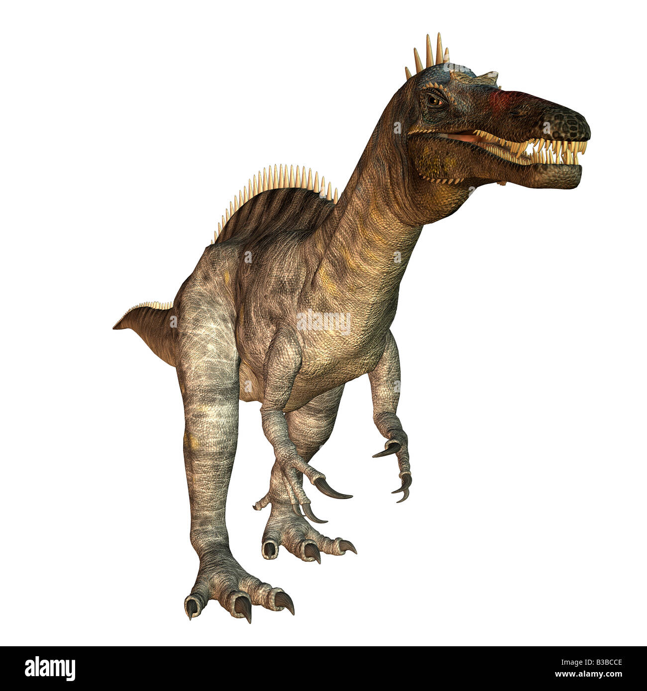 Suchomimus dinosauro Foto Stock