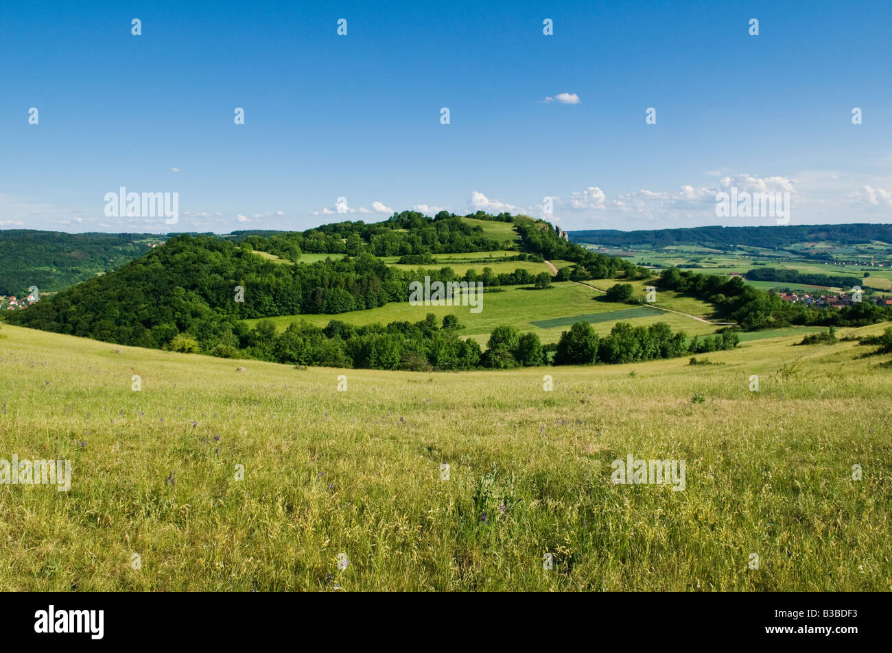Estate verde meadowns di Walberla Hill, Svizzera della Franconia, Baviera, Germania Foto Stock