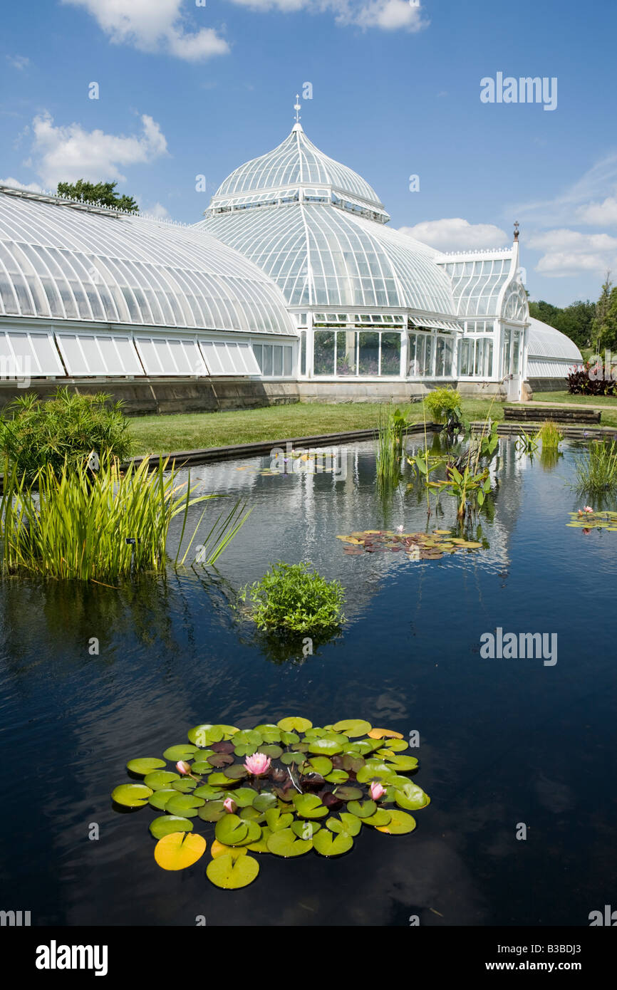 Phipps Conservatorio quartiere di Oakland Pittsburgh Pennsylvania Foto Stock