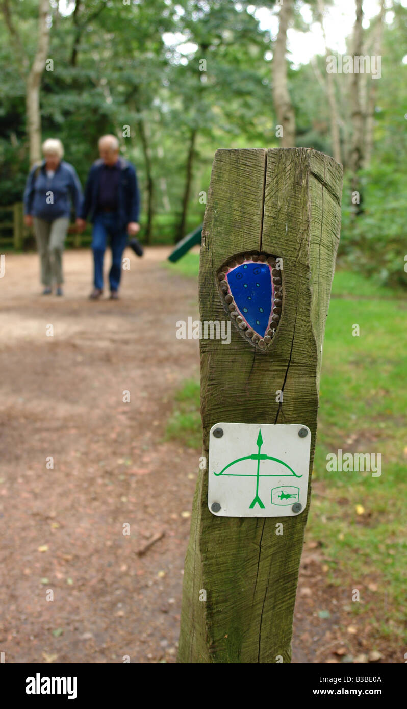 La Foresta di Sherwood Country Park Edwinstowe Mansfield Nottinghamshire Inghilterra GB UK 2008 Foto Stock