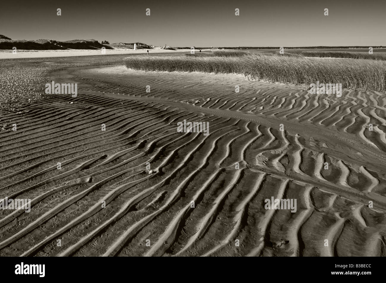 La bassa marea la baia di Cape Cod Massachusetts Foto Stock