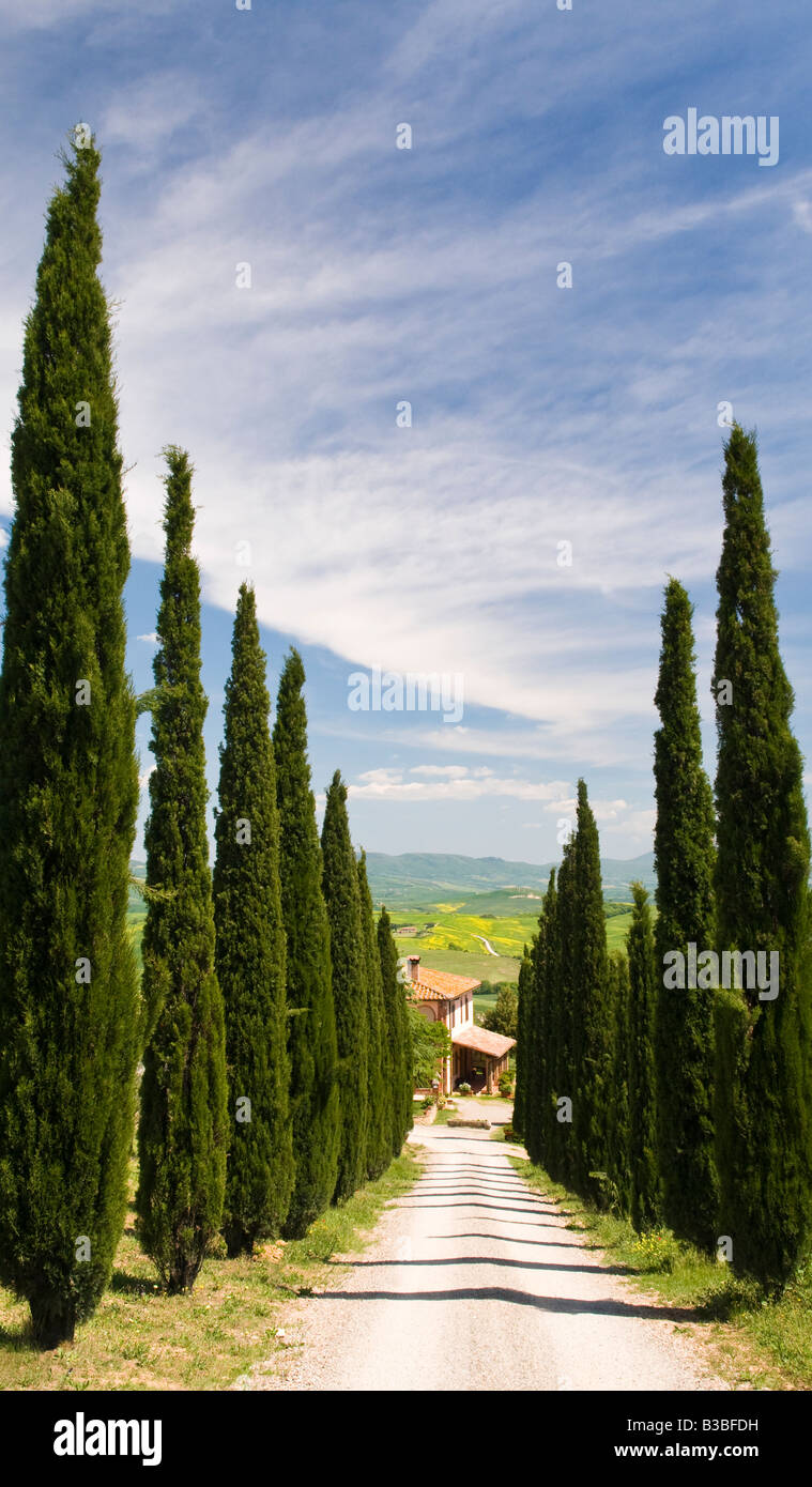 Agriturismo e cipressi, Valle de Orcia, Toscana, Italia Foto Stock