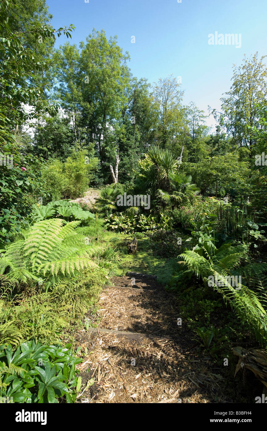 I motivi di Batsford Arboretum Gloucestershire Foto Stock