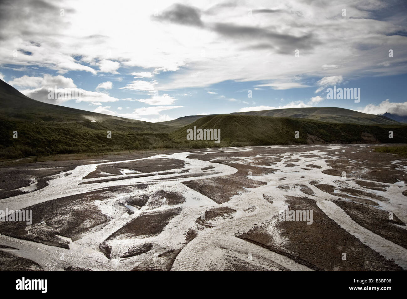Parco Nazionale di Denali, Alaska, STATI UNITI D'AMERICA Foto Stock