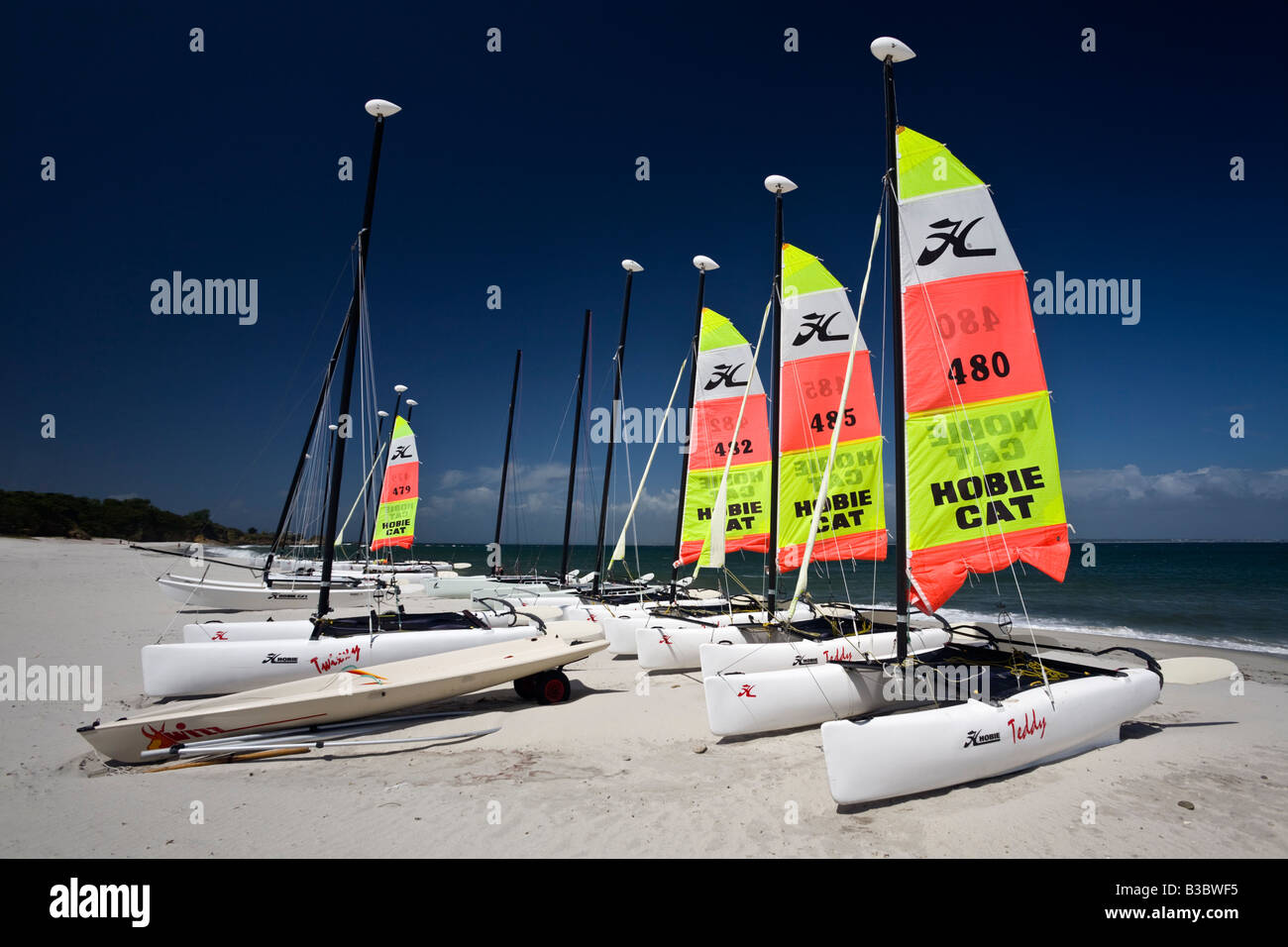 Tipo Hobie Cat catamarani presso l'isola di Groix (Francia). Voiliers catamarani de tipo Hobie Cat sur l'île de Groix. Foto Stock