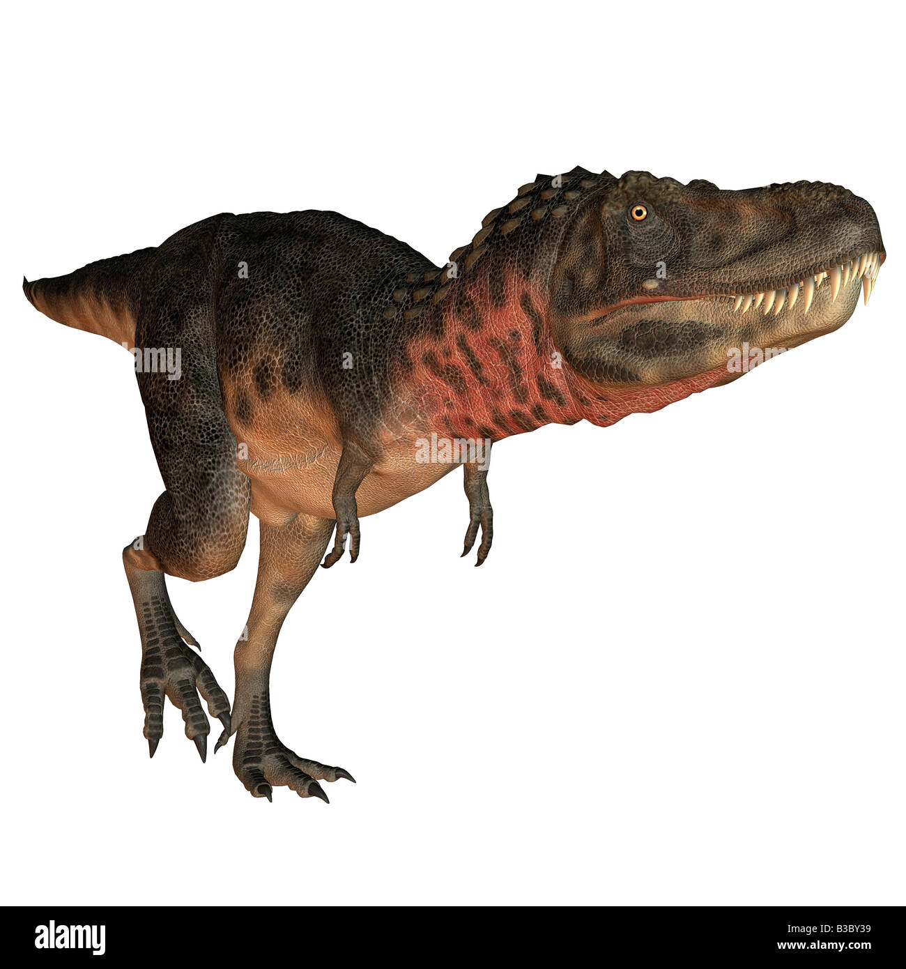 Dinosauro Tarbosaurus Foto Stock