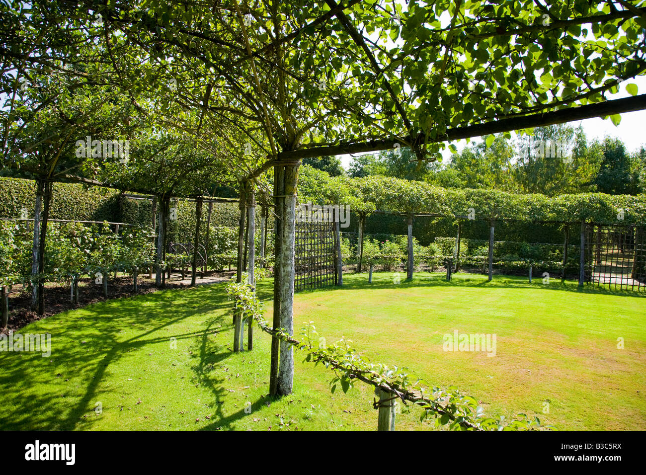 Alberi di pere overhead addestrati al Prieuré d'Orsan gardens Francia Foto Stock