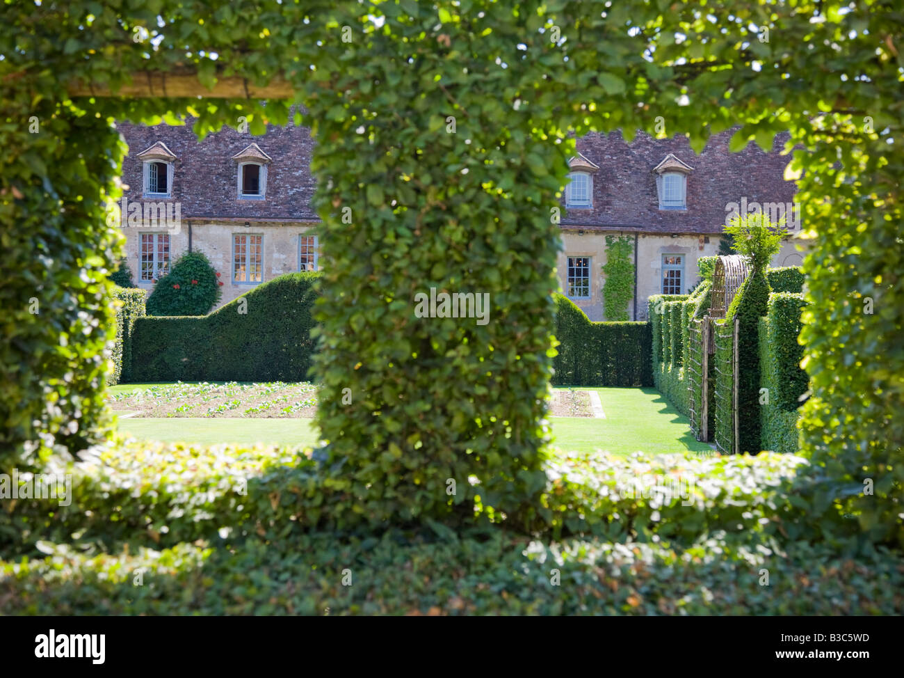 Ligustro windows al Prieuré d'Orsan gardens Francia Foto Stock