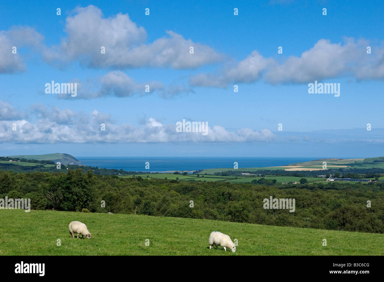 Regno Unito, Galles Pembrokeshire. Vista sul nord Pembrokeshire panorama verso Newport Bay. Foto Stock