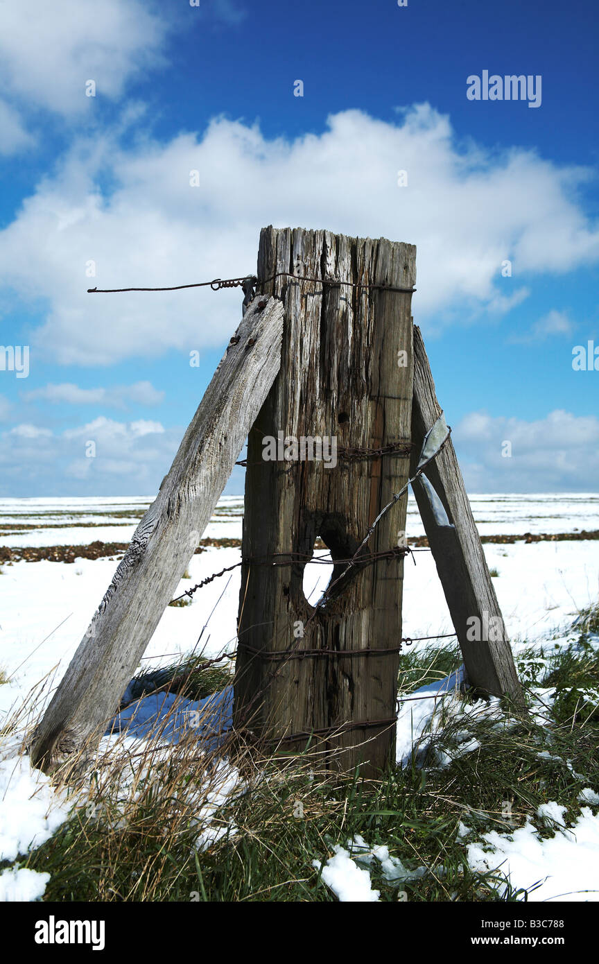 Inghilterra, West Berkshire. Un vecchio recinto post su la Ridgeway dopo una nevicata di primavera. Foto Stock