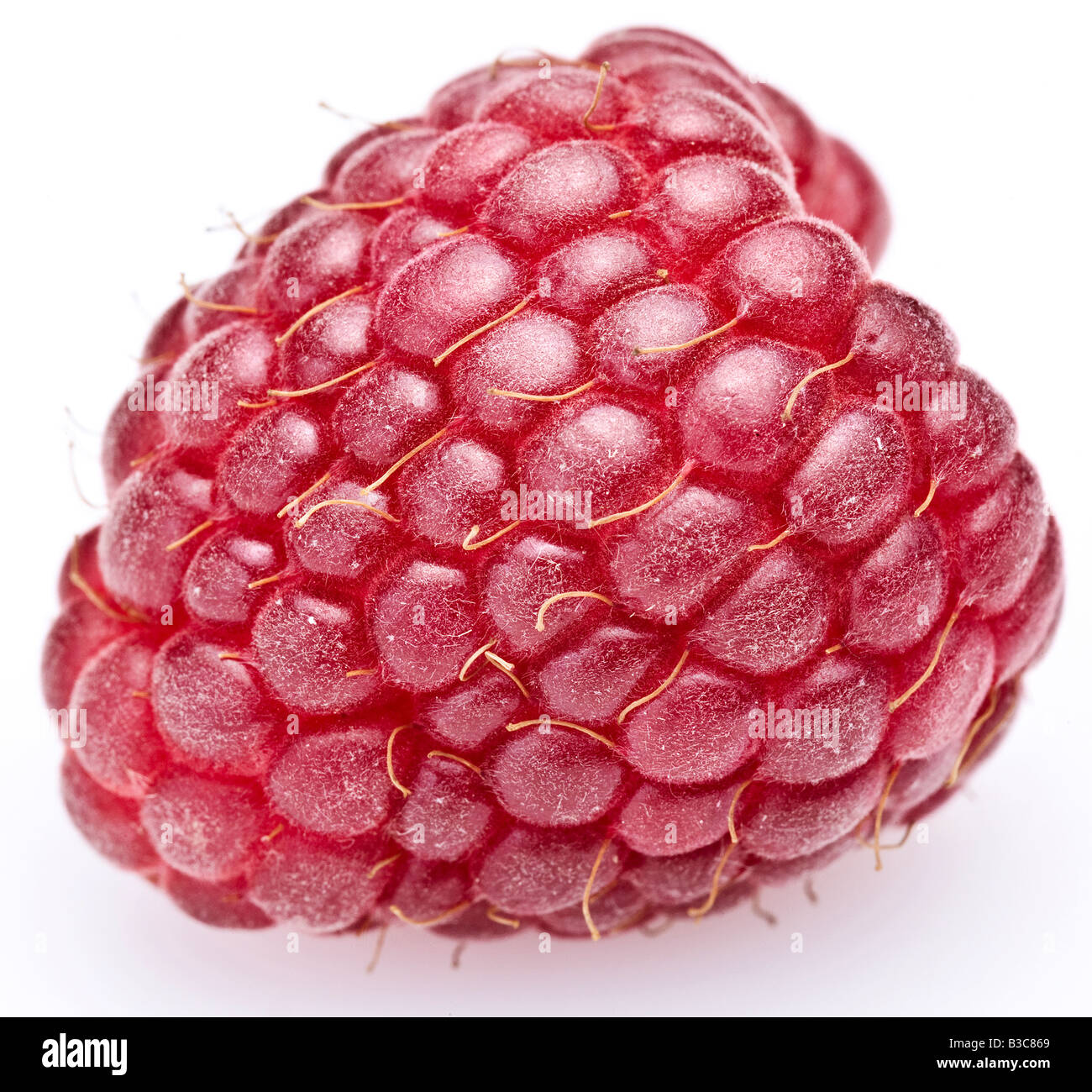 lampone Foto Stock