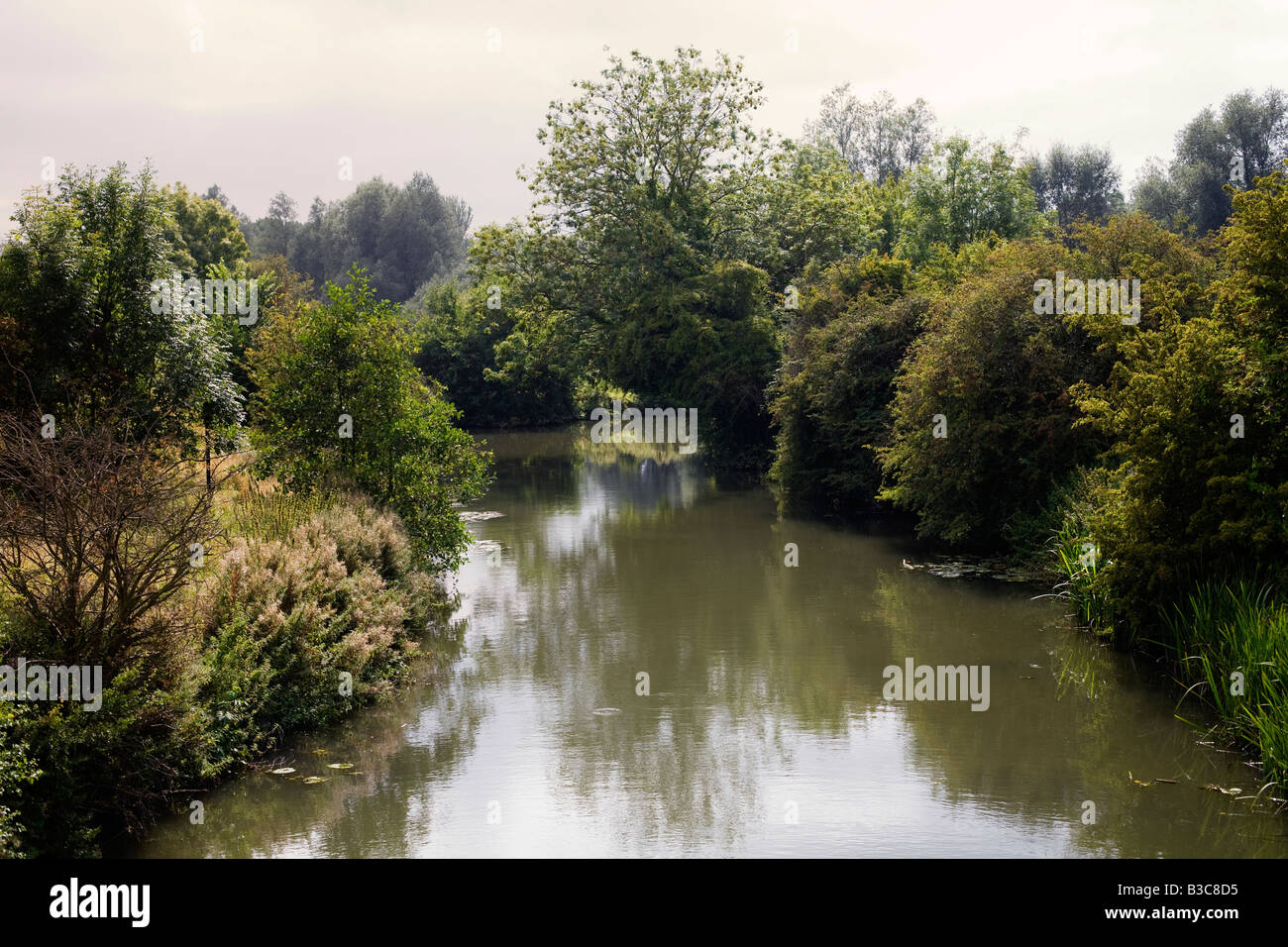 Il fiume Stort in Harlow Town Park, Essex, Regno Unito. Conosciuta anche come la navigazione Stort Foto Stock