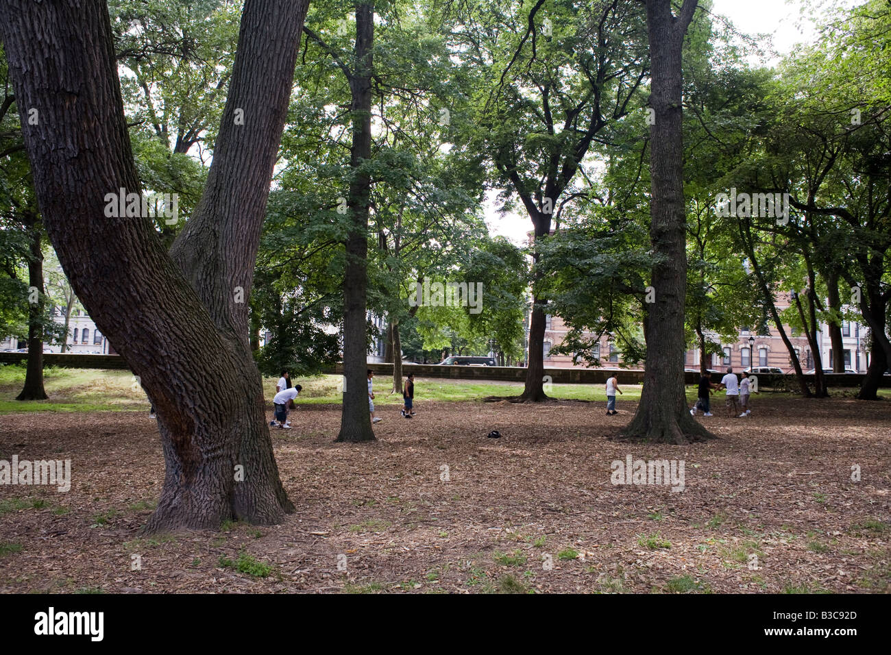 Bambini che giocano nella Prospect Park di Brooklyn a New York Foto Stock