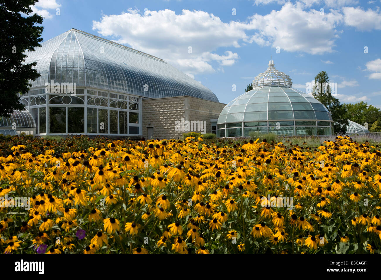 Phipps Conservatorio quartiere di Oakland Pittsburgh Pennsylvania Foto Stock