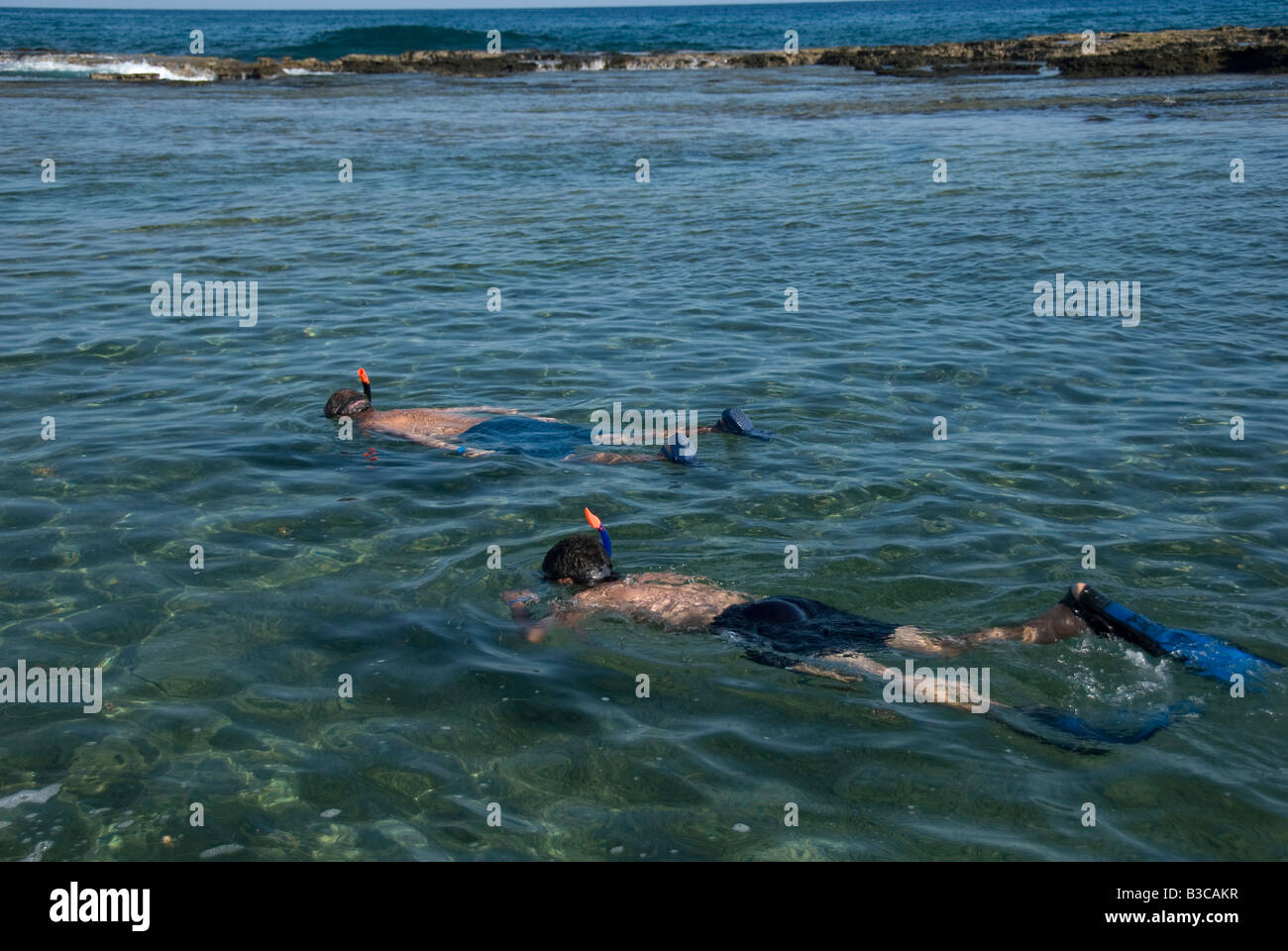 Due uomini snorkeling Foto Stock