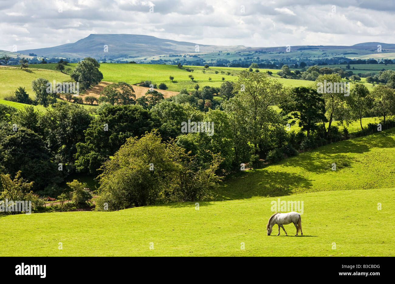 Campagna Teesdale guardando verso Pen y Gand, North Yorkshire, Inghilterra, Regno Unito Foto Stock