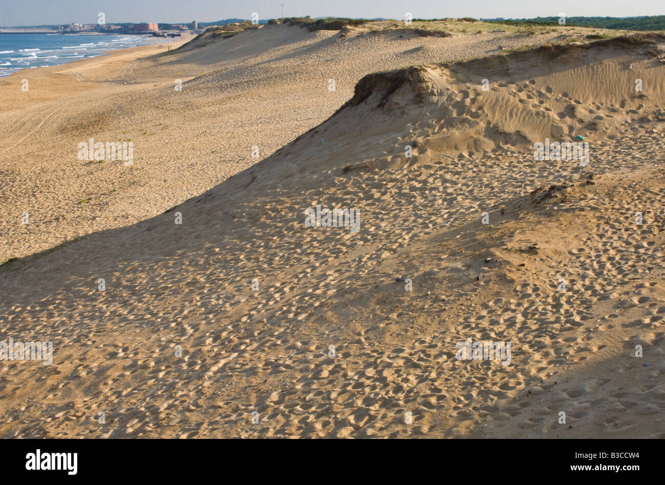 Dune di sabbia erosione dovuta alle persone a piedi attraverso le dune di accedere a una spiaggia molto popolare, con una città costiera in background. Foto Stock
