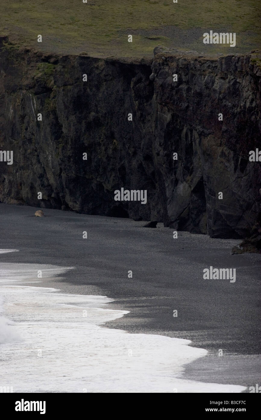 Il basalto formazioni rocciose sulla spiaggia di sabbia nera, Vik, Islanda Foto Stock