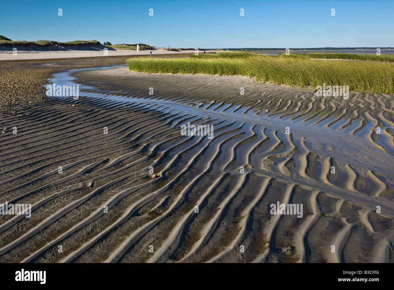 La bassa marea la baia di Cape Cod Massachusetts Foto Stock