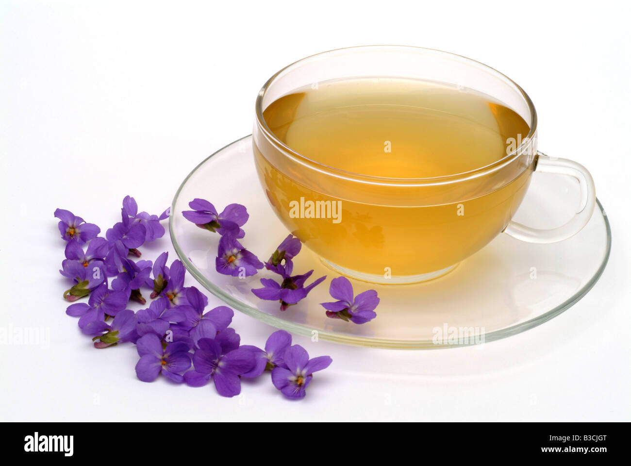 Medicinali tè alle erbe e fiori di pianta medicinale Viola Viola odorata viola mammola Foto Stock