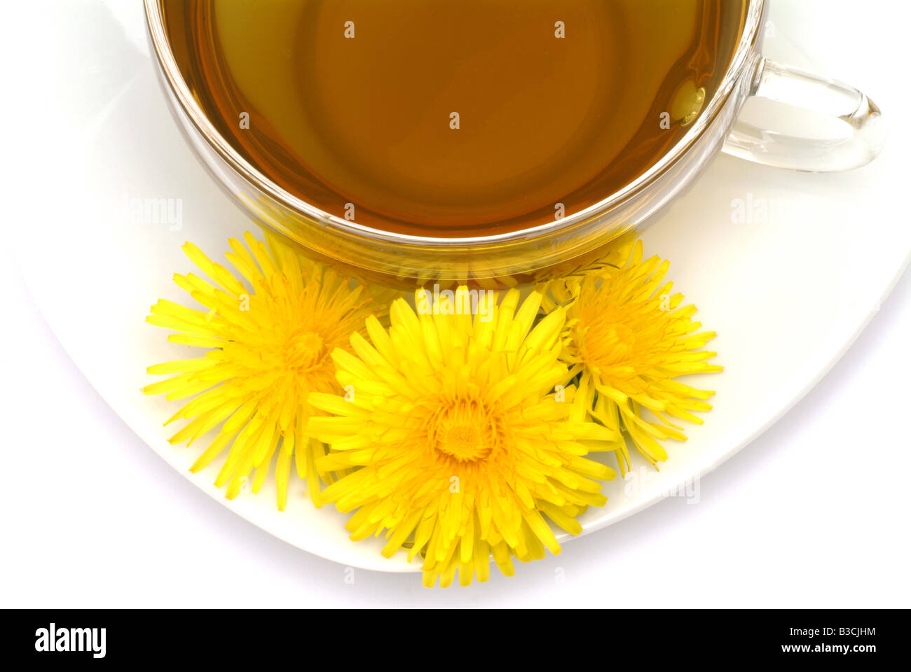 Tè medicinali fatta di Taraxacum officinale pianta medicinale comune tè di tarassaco pianta medicinale Soffione Dente de leone te Foto Stock