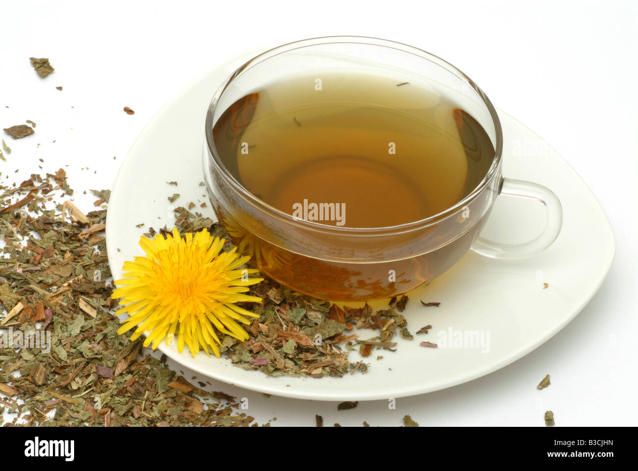Tè medicinali fatta di Taraxacum officinale pianta medicinale comune tè di tarassaco pianta medicinale Soffione Dente de leone te Foto Stock