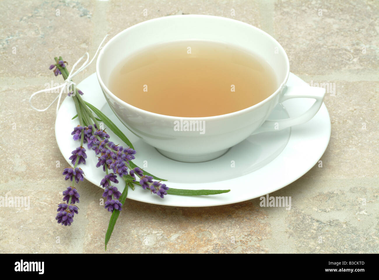 Medicinali tè alle erbe e fiori di pianta medicinale Lavendula lavanda officinalis vulgaris angustifolia Foto Stock