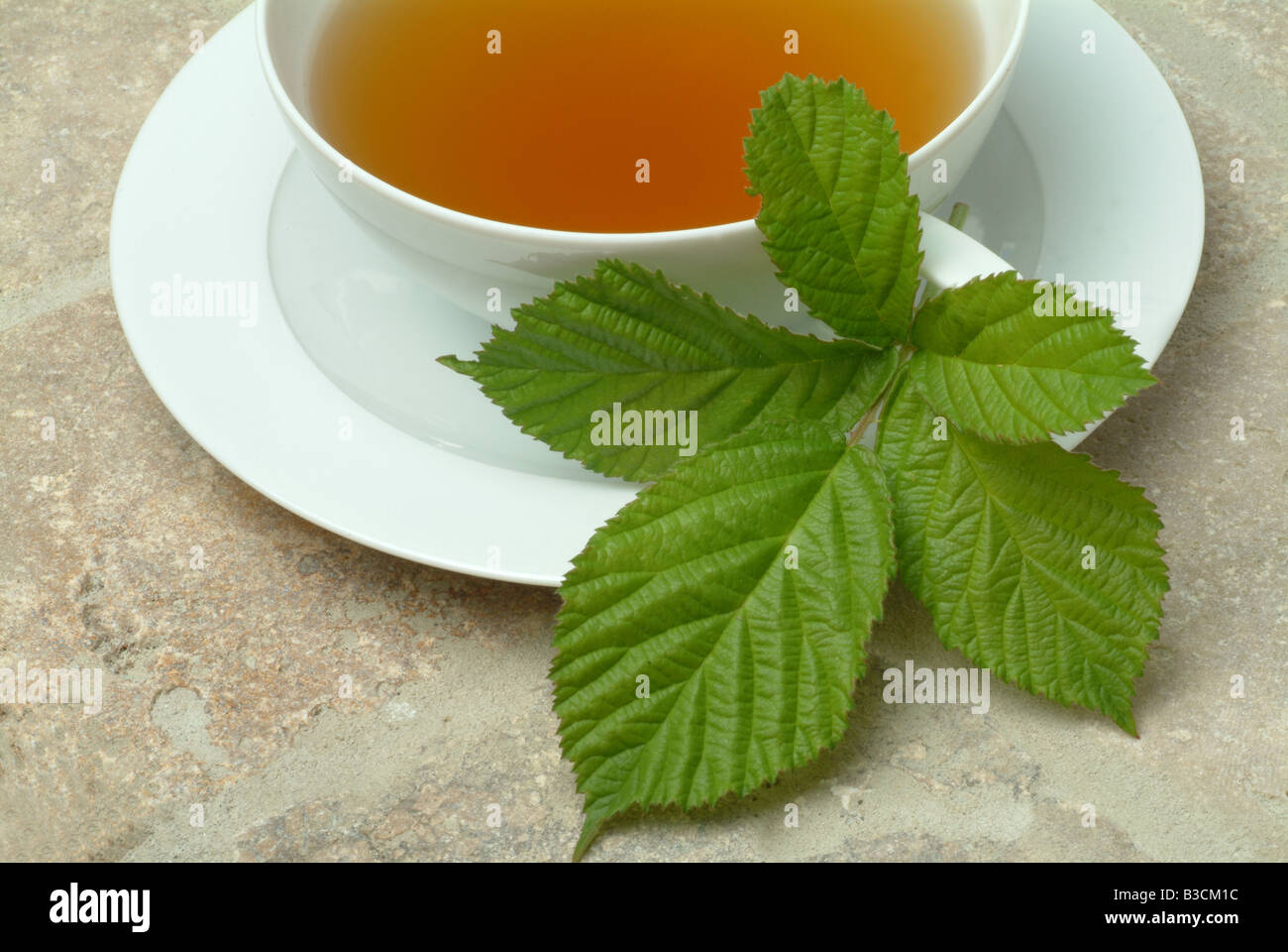 Herbtea fatto di foglie e fiori di billberry o mirtillo Vaccinium myrtillus corymbosum Mirtillo fogiia Foto Stock