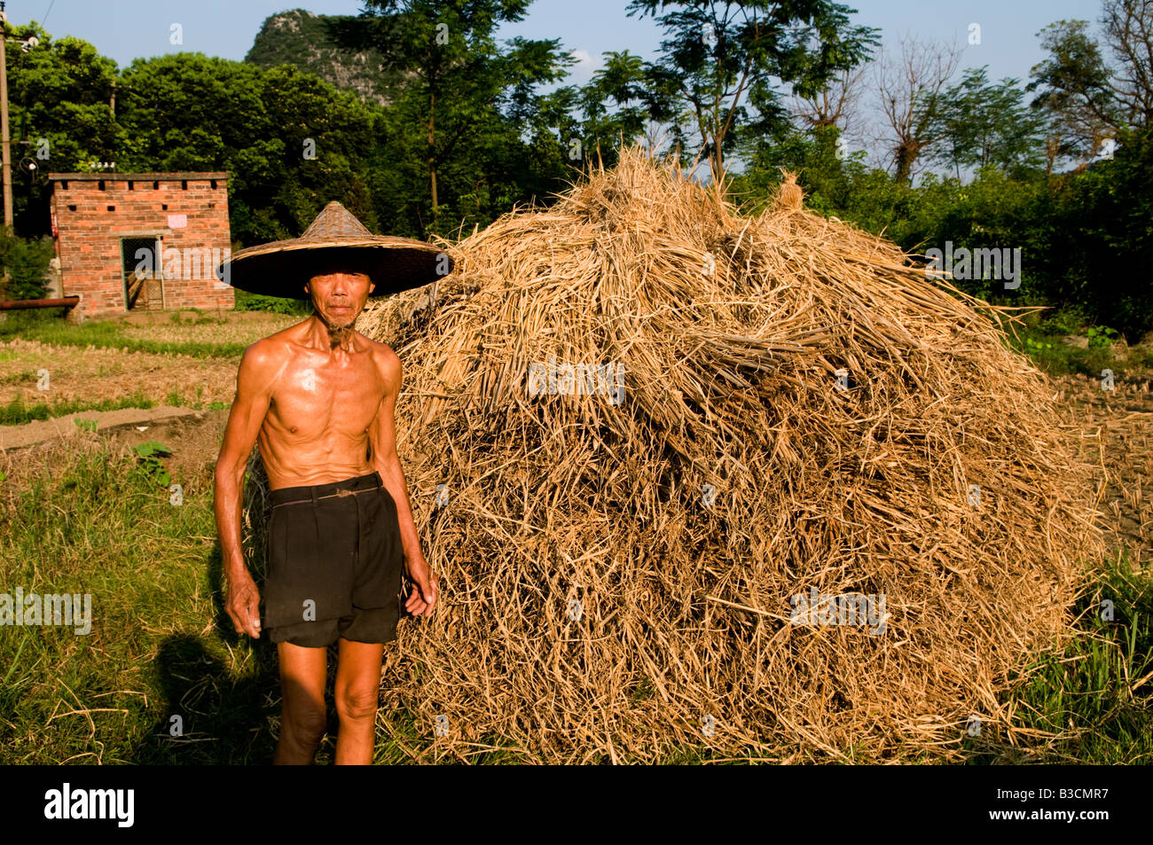 Un vecchio contadino cinese a lavorare nel suo campo. Foto Stock