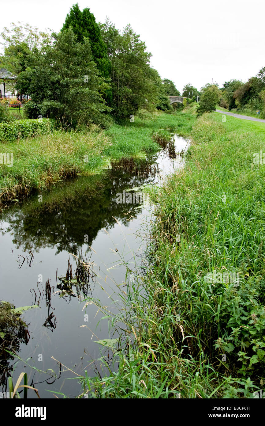 Il Newry a Portadown canal invaso dalle erbacce e vegetazione Foto Stock