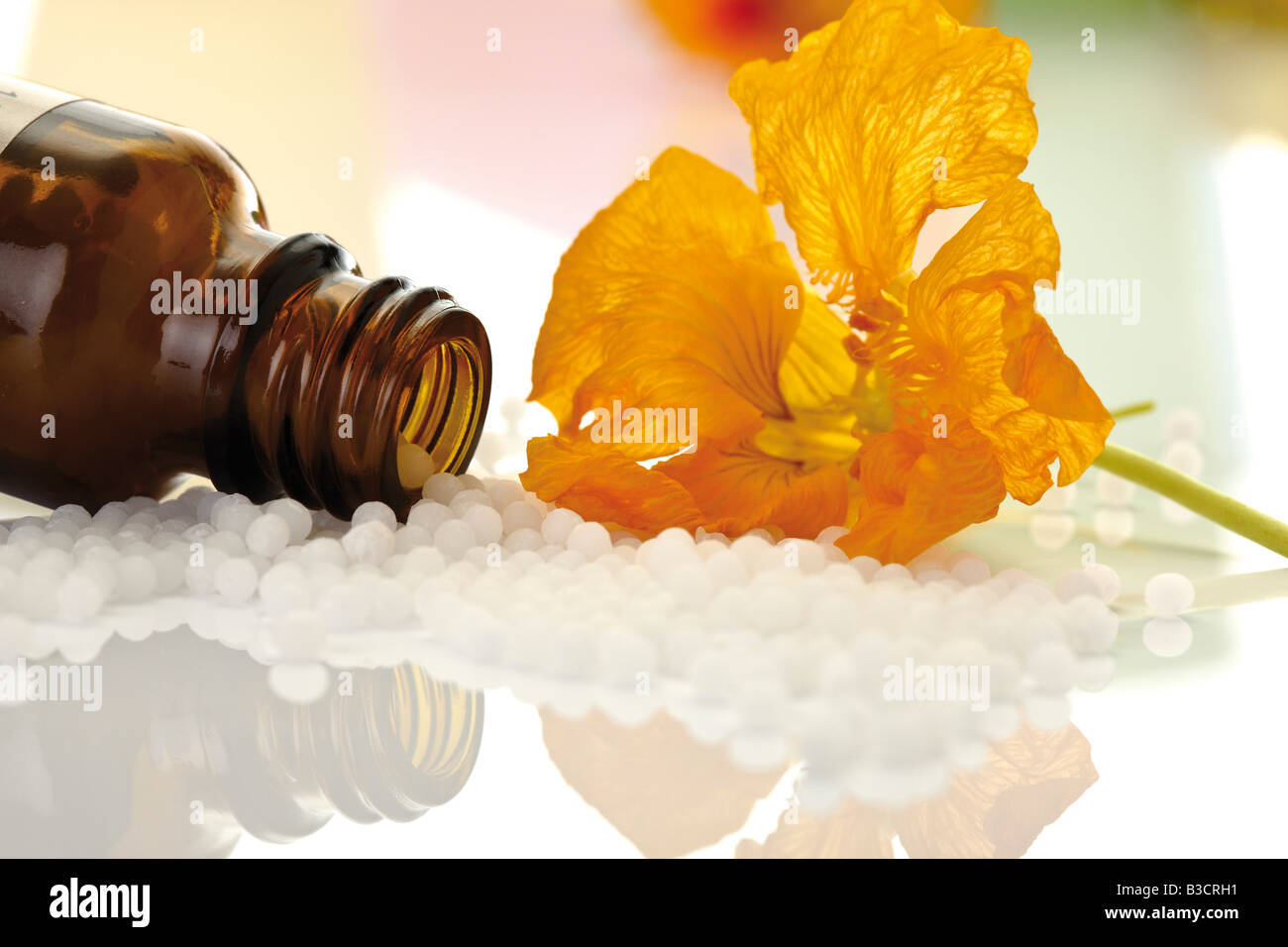 Pallone medicinale con le pillole di fronte Nasturtium (Tropaeolum), close-up Foto Stock