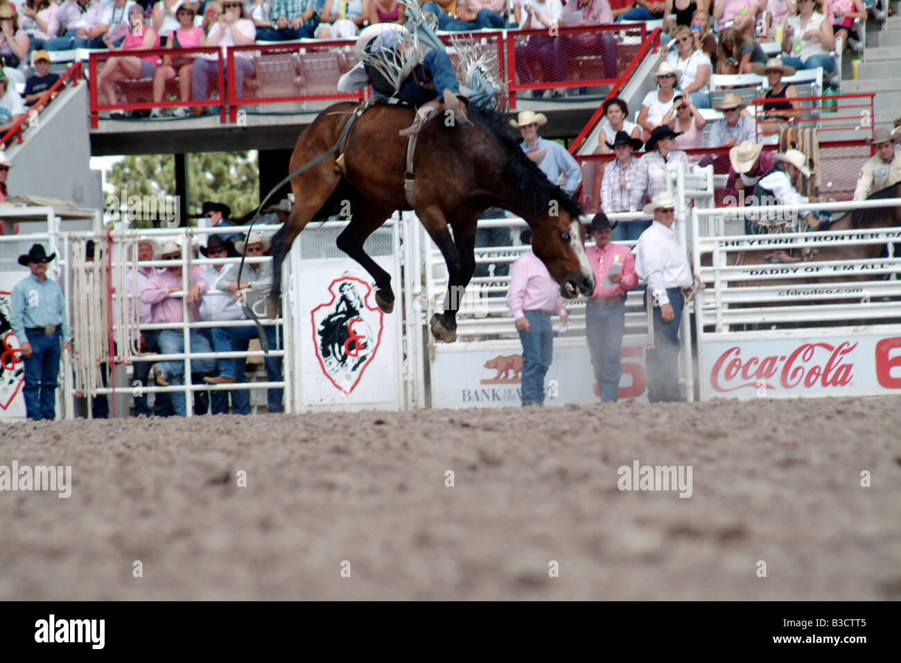 Cowboy a cavallo a una polvere rodeo. città cheyenne wyomin usa fun travel stati uniti d'America Foto Stock