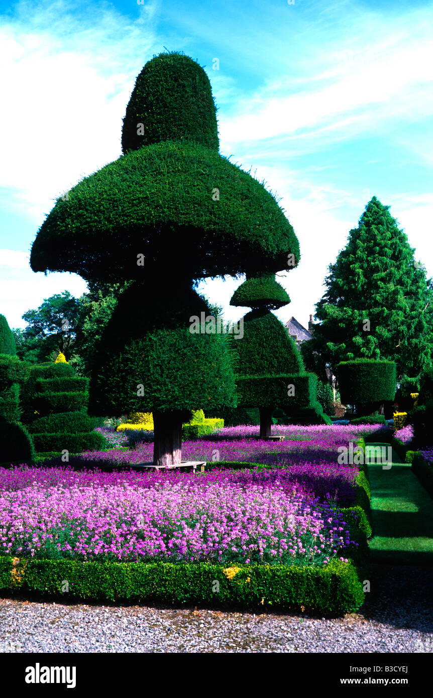 La Topiaria da giardino a Levens Hall in estate Foto Stock