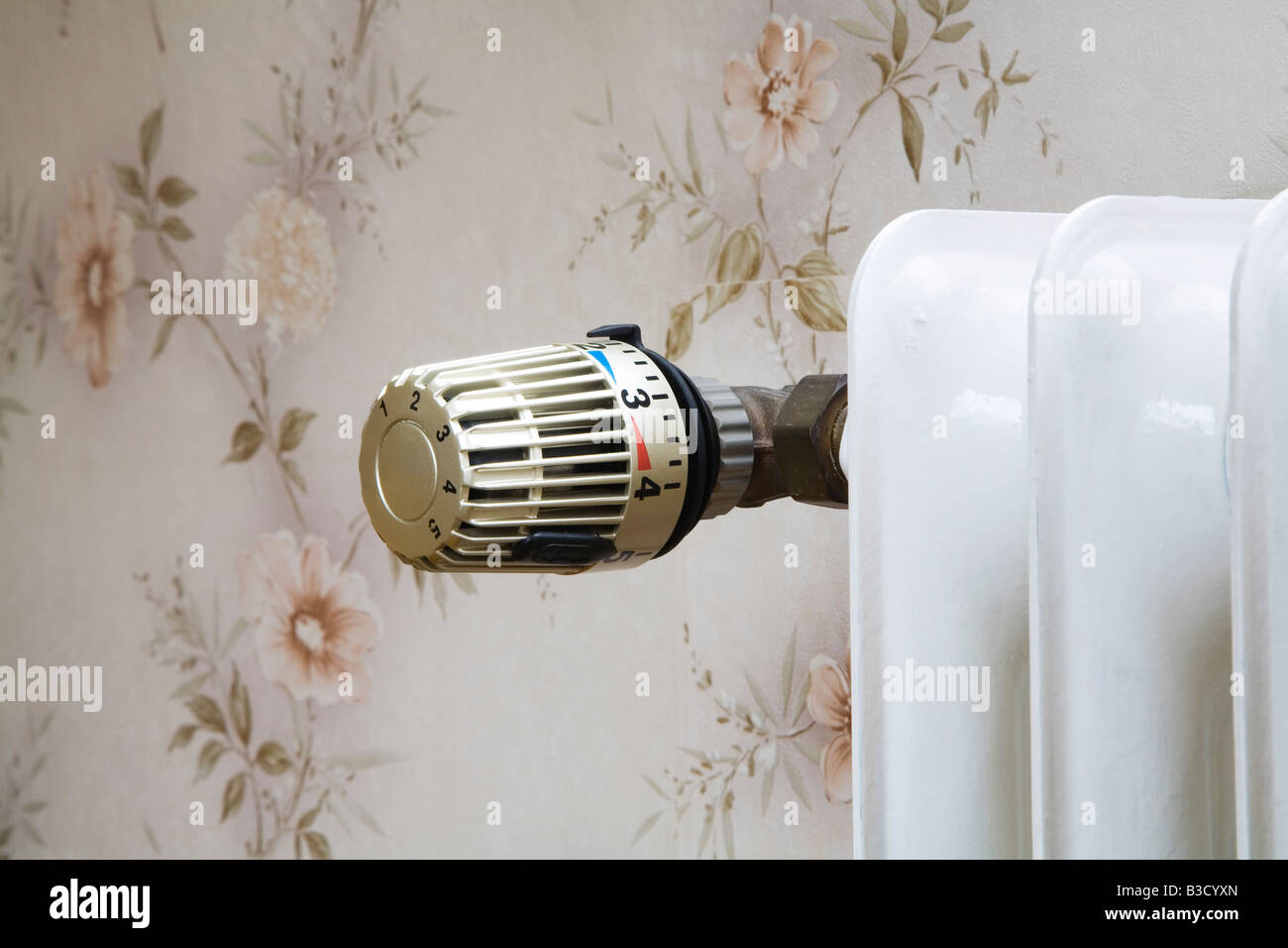 Termostato per il riscaldamento, close-up Foto Stock