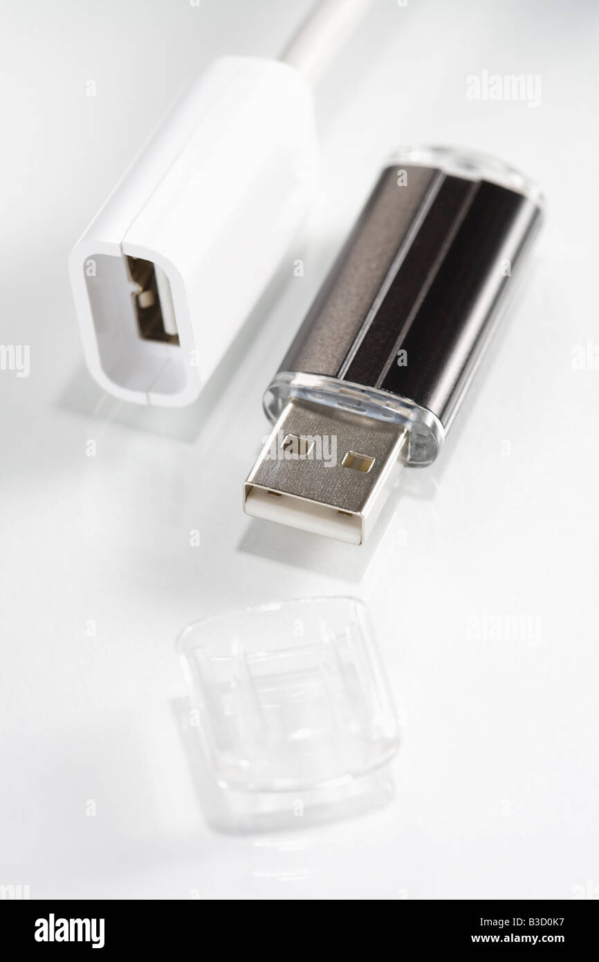Plug e unità flash USB su sfondo bianco, vista in elevazione Foto Stock