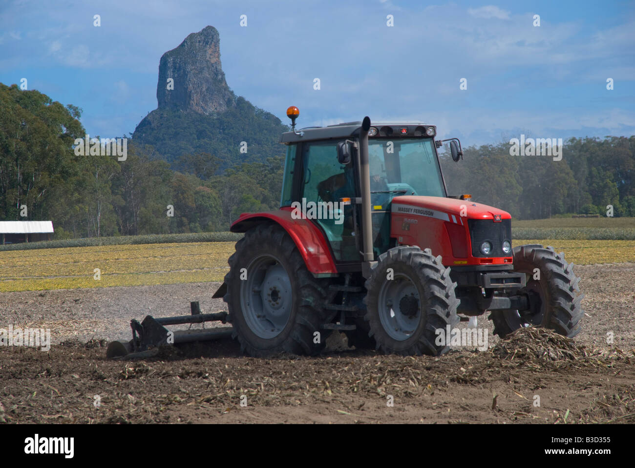 Un agricoltore arare i campi di una piantagione di Ananas vicino La Glasshouse Mountains nel Queensland Australia Foto Stock