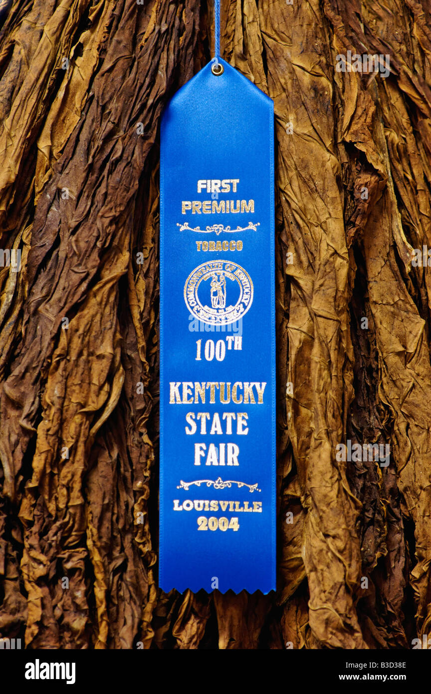 Nastro blu che designa il primo posto per il tabacco al Kentucky State Fair Louisville Kentucky Foto Stock