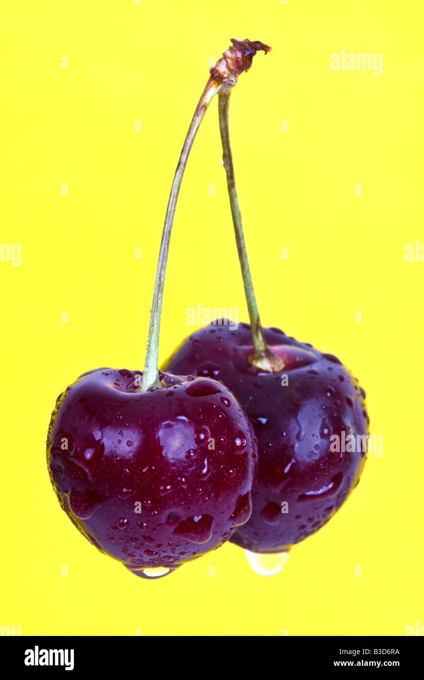 Due fresco umido amarene contro uno sfondo giallo Foto Stock