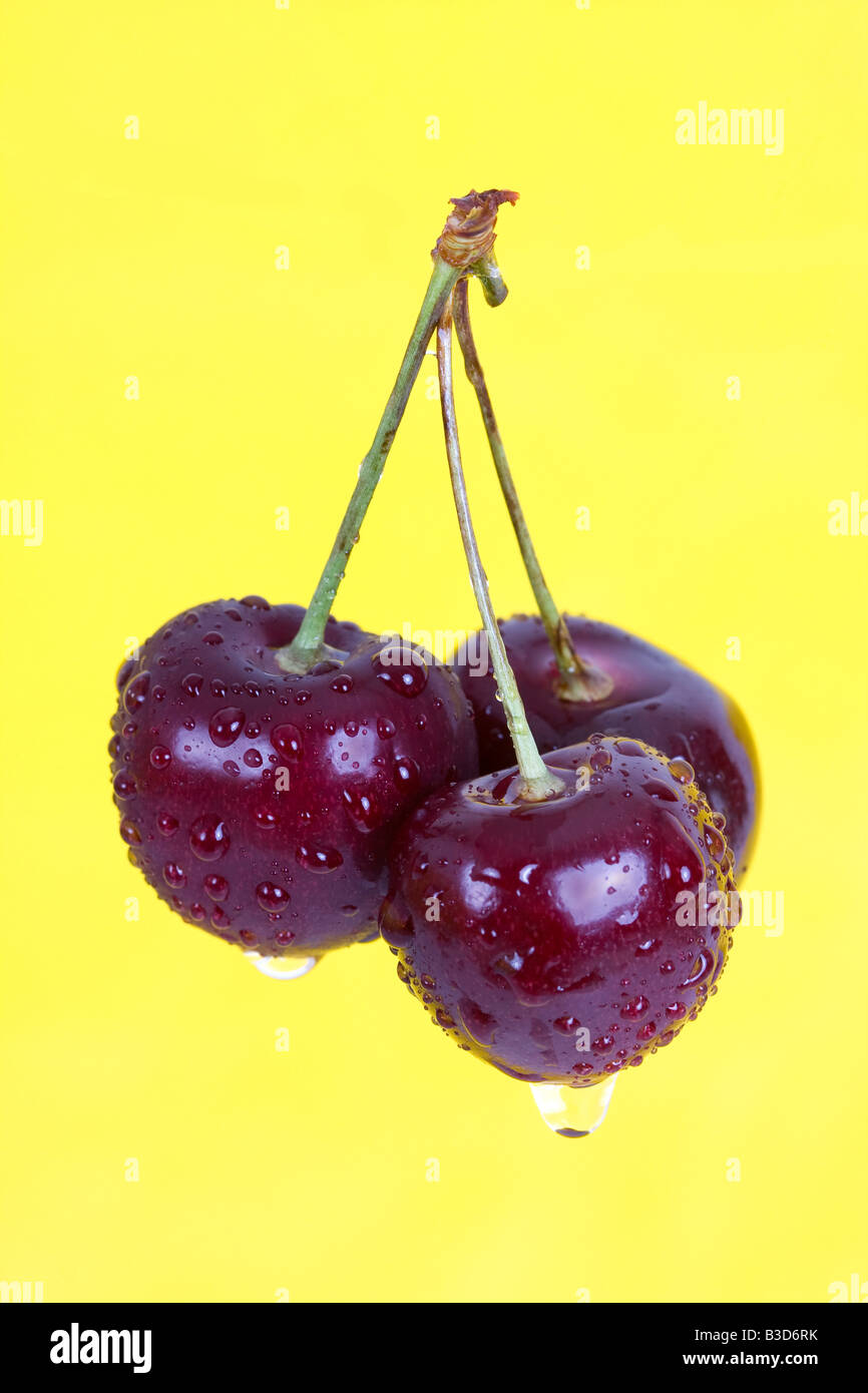 Tre fresco umido amarene contro uno sfondo giallo Foto Stock