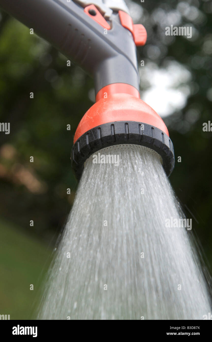 Irrigatore per giardini che spruzza acqua in un giardino lussureggiante durante una giornata di sole Foto Stock Irrigatore per giardini che spruzza acqua in un giardino lussureggiante durante una giornata di sole Foto Stock