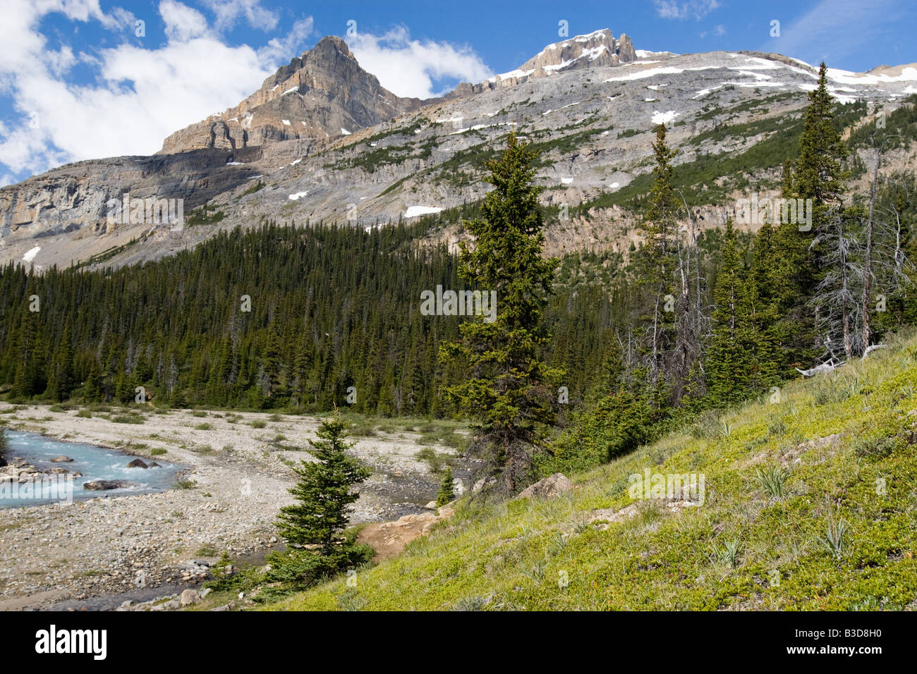 Montare Jimmy Simpson e il percorso di trekking al ghiacciaio di prua Foto Stock