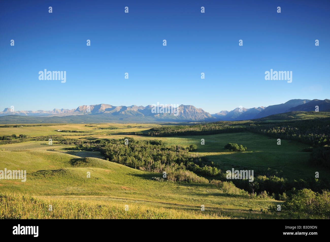 Vista di Waterton Park area, Alberta, Canada Foto Stock